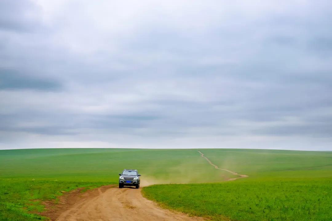 八月的呼伦贝尔大草原,辽阔的呼伦贝尔大草原风景