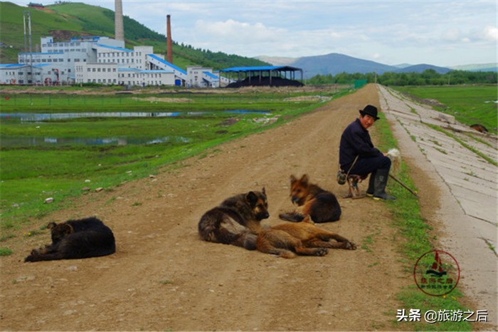 走过呼伦贝尔的根河湿地，别忘记中国最冷的地方冷极村