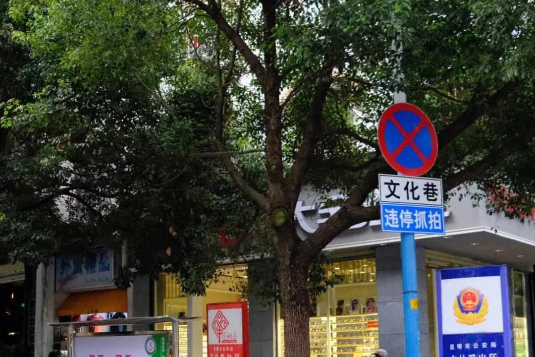 昆明旧时光电子版,昆明旧记忆