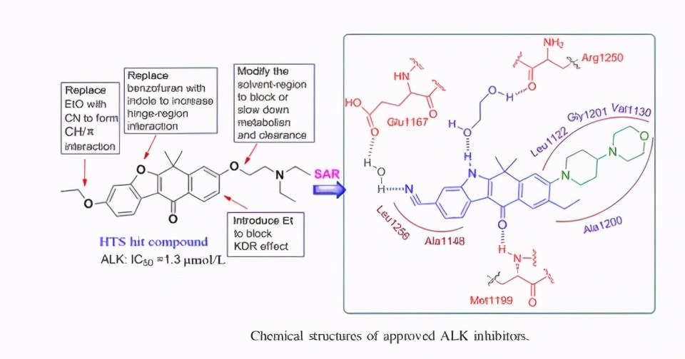 alk抑制剂alk是什么,alk抑制剂一二三代区别