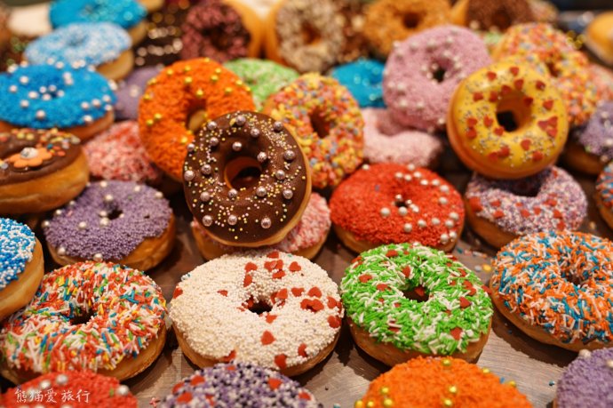 10日荷兰自由行攻略3，在自由包容的国度里浪漫放飞自我