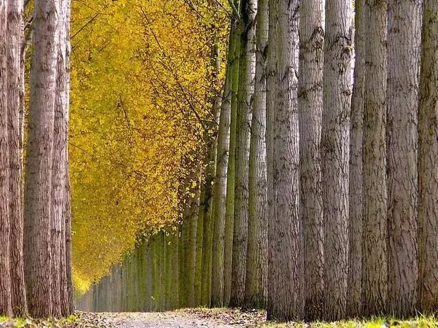 对联应掌握的90个知识点,对联知识点整理