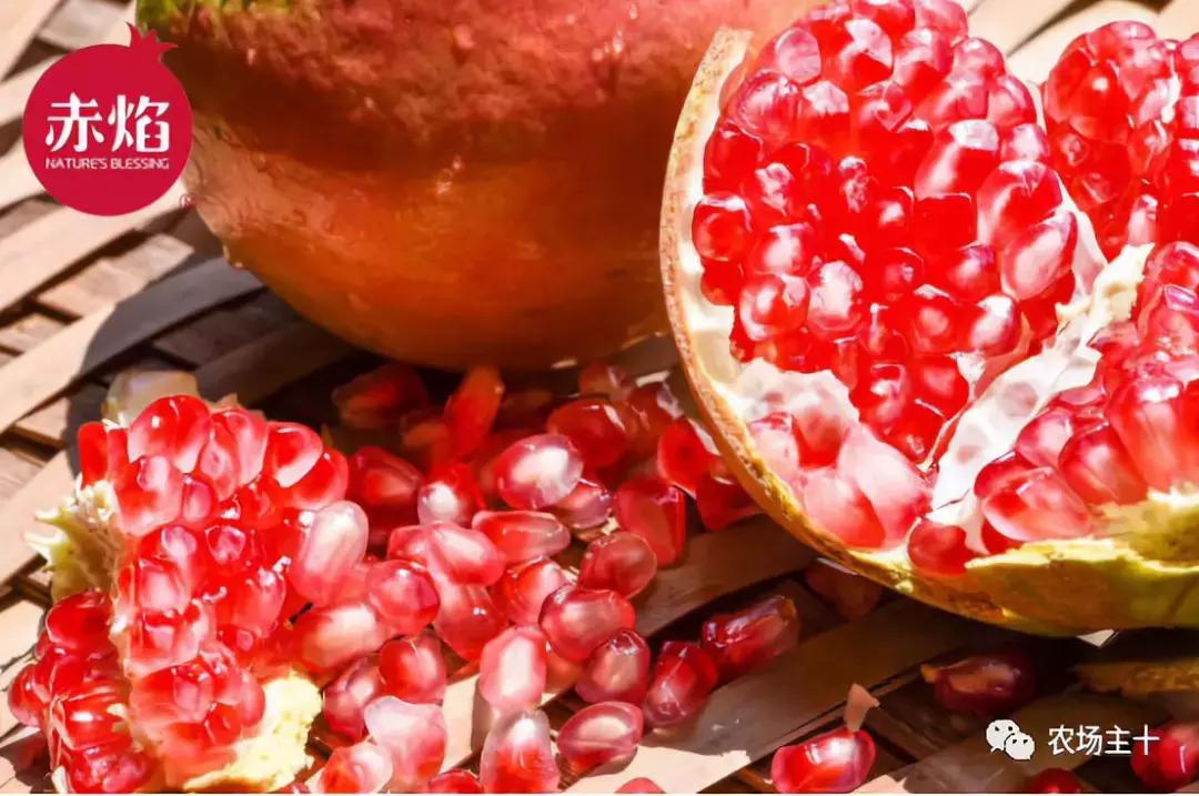 农产品众筹技巧,我国农产品众筹现状