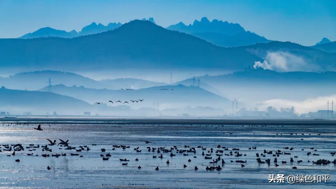 自然合伙人|“三江主人”彭建生：建一座图像喜马拉雅的藏族汉子