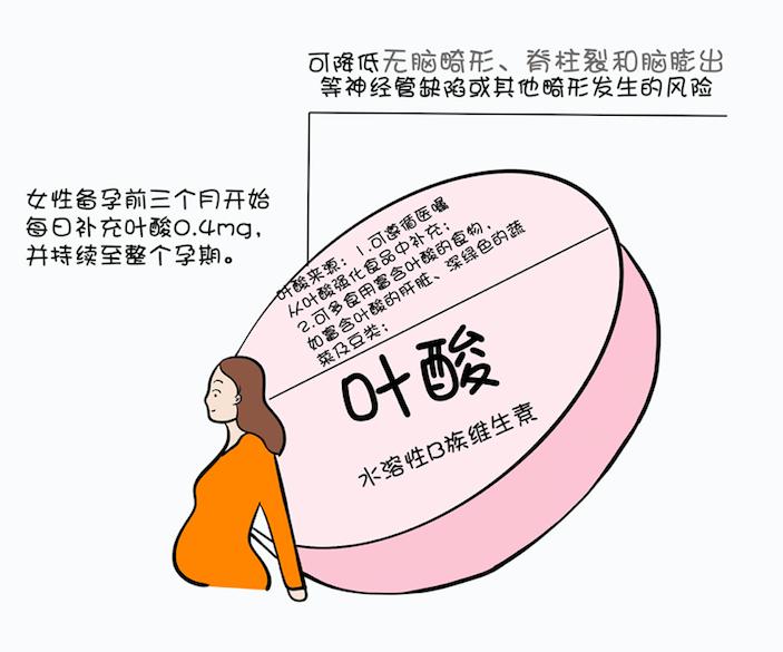 孕期食谱孕早期饮食全知道,怀孕1-3个月孕期营养食谱