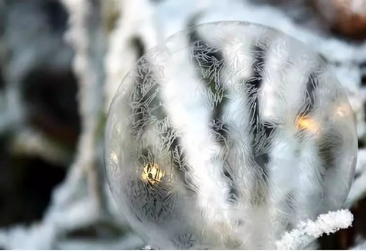 描写冬天的好词好句好段,冬天的好词好句摘抄大全