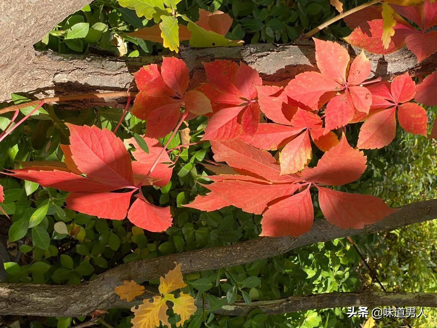 西游记新解读人情世故,西游记解说七情六欲