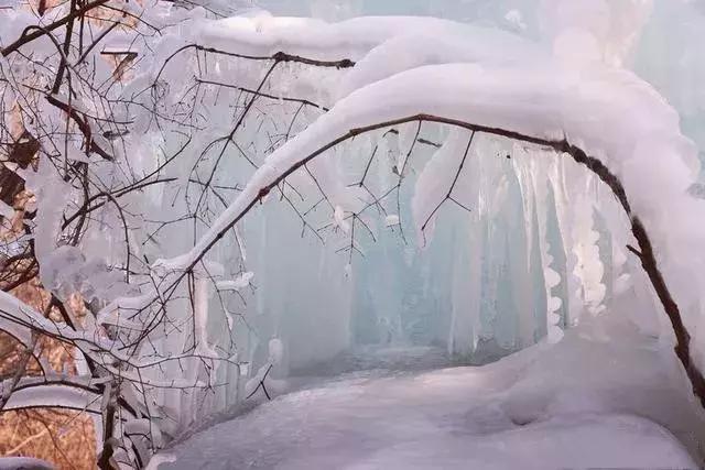 河南省春节旅游免门票景区 (春节河南6大景区半价)