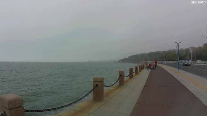 水下摄影4k,海鸟4k运动相机深度评测