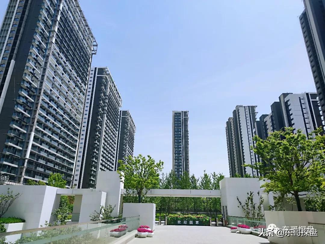 万万没想到，他捅了郑州刚需盘的“窗户纸”