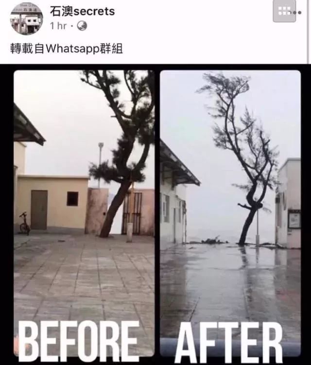 1999年喜剧之王内地电影院上映,1999喜剧之王香港上映时间