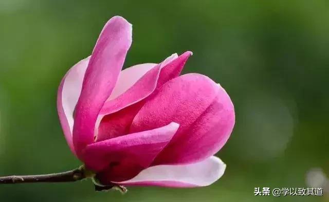 有人错充了话费给我