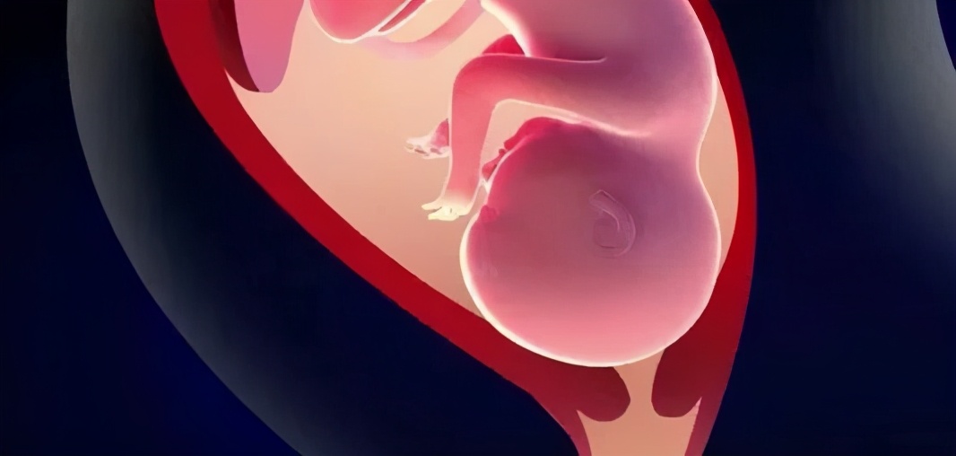 预产期到了可以喝红牛吗,见红催产可以喝红牛吗