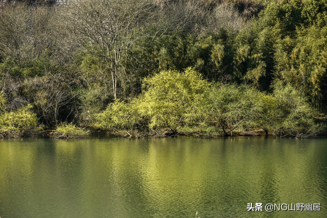 安徽宁国乡镇gdp,安徽省宁国市gdp