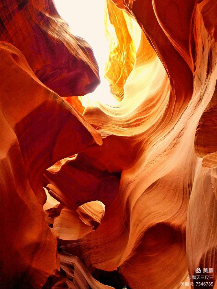 鍖楃編鏋儏闃虫柊,鍖楃編鏋儏鍥剧墖