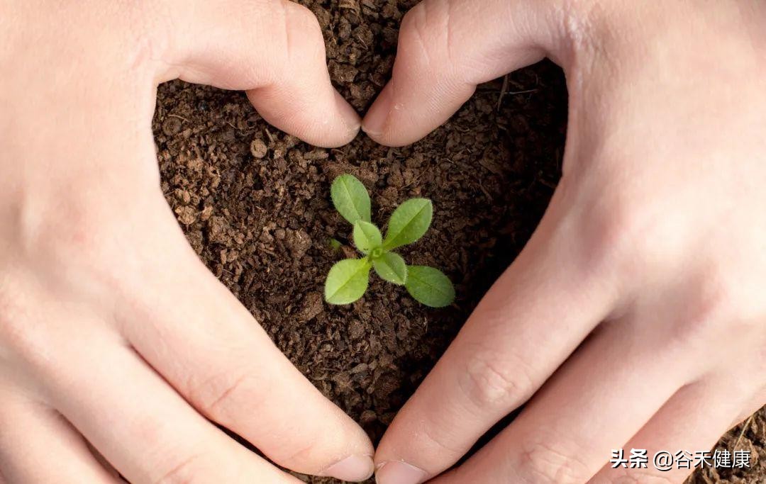 微生物取样方法,微生物取样标准操作规程