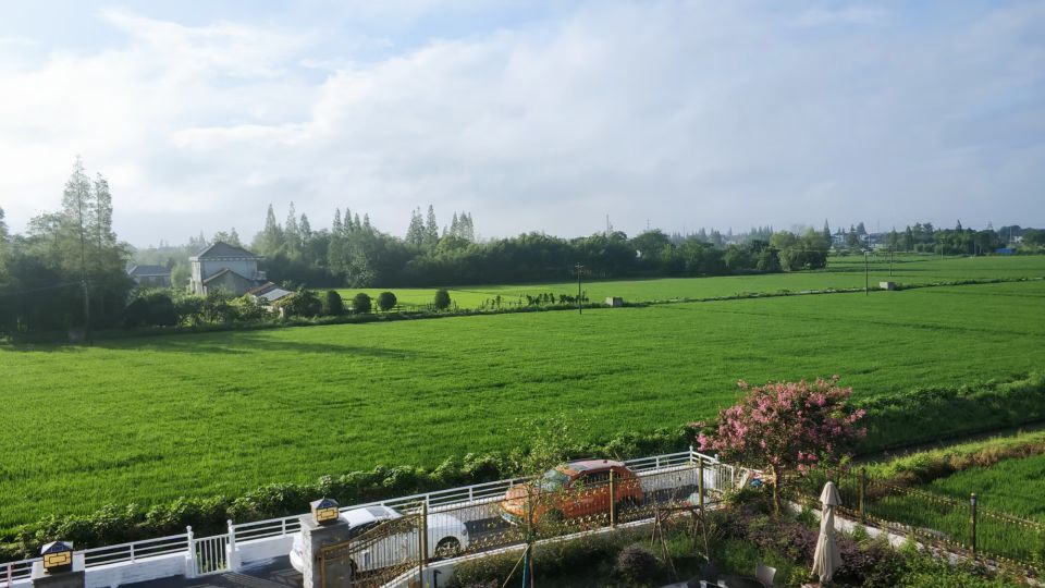 崇明最接地气的民宿,崇明岛两天一夜民宿攻略