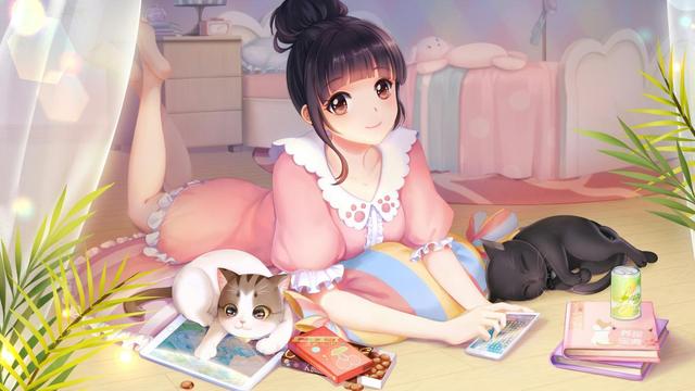 新手养猫哪个品种比较好养一点儿,九大养猫好物分享新手铲屎官必看