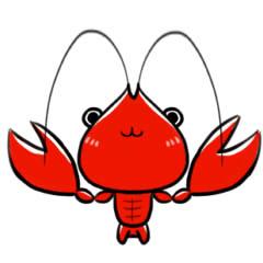 小龙虾养殖技术培训,小龙虾养殖技术学习加盟