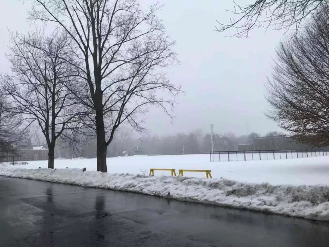 迪尔菲尔德学院好吗,迪尔菲尔德学院
