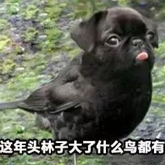 那些没甩脸上的姨妈巾被偷偷的塞进了男生的那里?