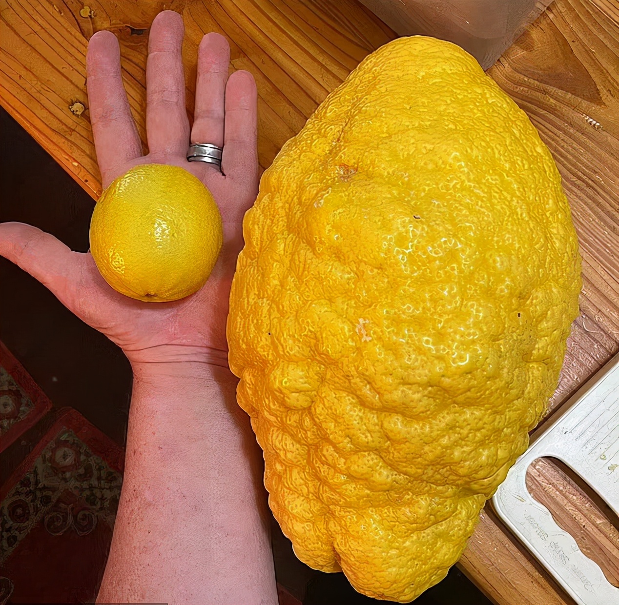 开箱巨大零食,开箱巨型3米的零食