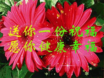 六一相册影集,六一照片专场