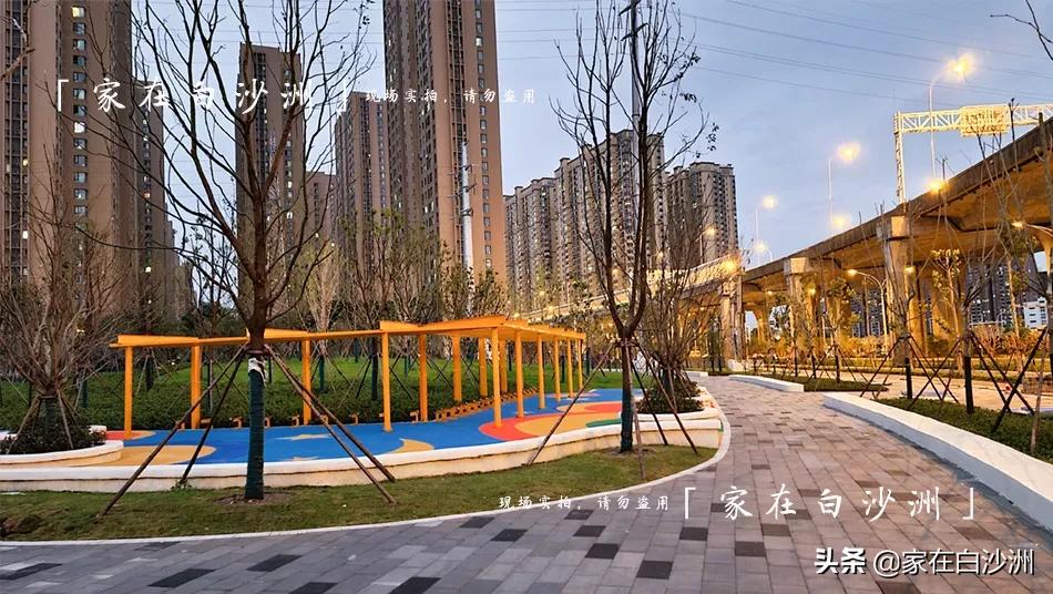 白沙洲将在建一座公园,白沙洲规划中的公园