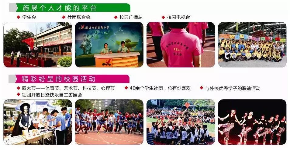 深圳盐港中学高考升学率,深圳2016盐高高考成绩