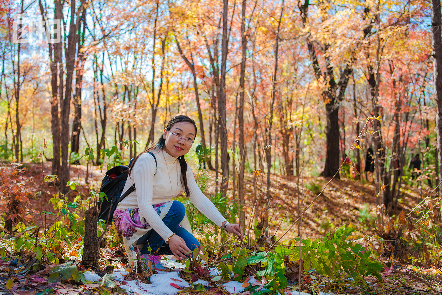 我,当了23年全职妈妈,和儿子一起考研,儿子落榜了,我却考上了