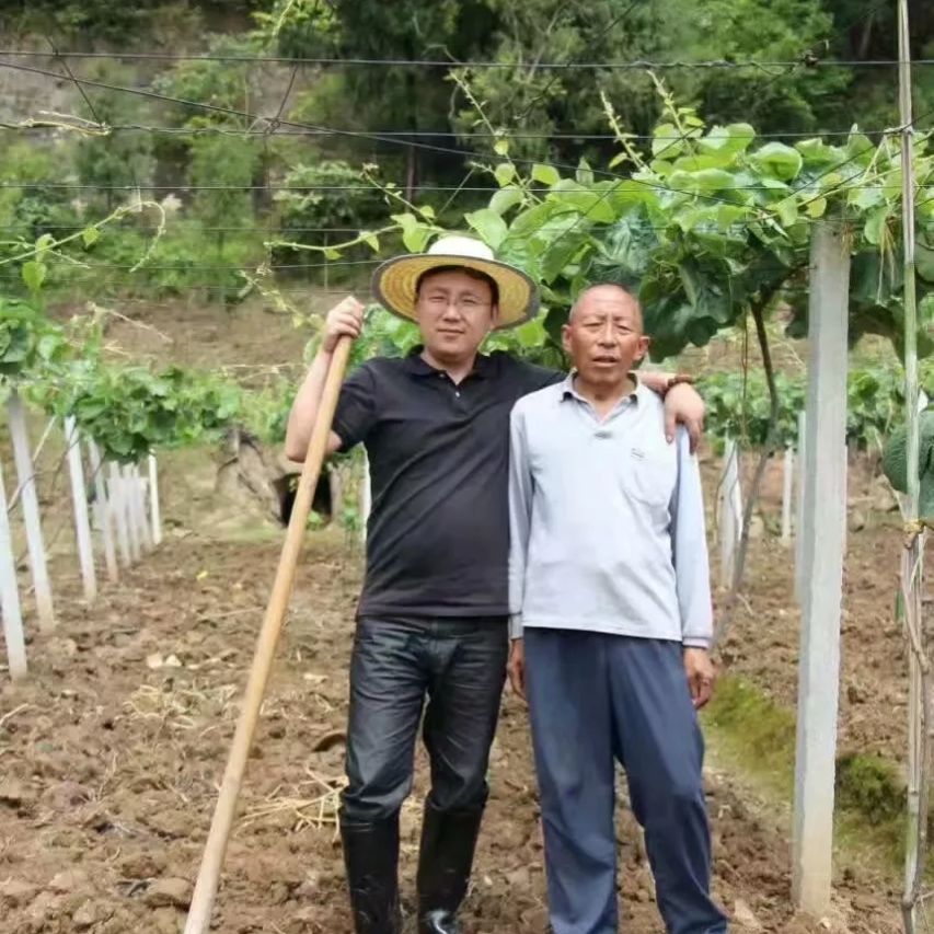 新型农业模式种植什么最赚钱,搞农业致富
