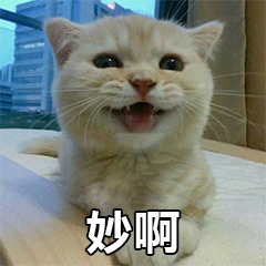 雨女无瓜相关的梗,雨女无瓜什么时候的梗