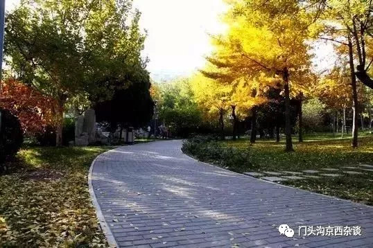 厉害了我的北京视频,厉害了我的北京