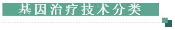 医学前沿：基因治疗概况