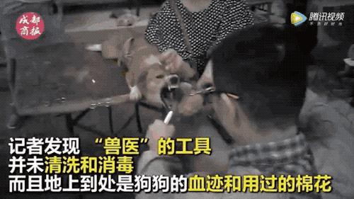 “割声带、截肢、电击,当爱变成我的噩梦”