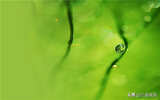 夜读人生懂得低头才能出头,夜读人生不怕起点低