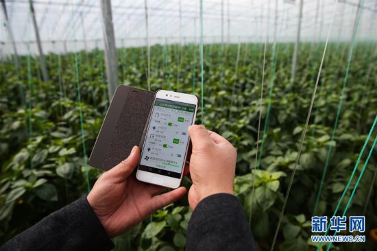 聚焦新发展理念推动高质量发展,聚焦高质量发展趋势