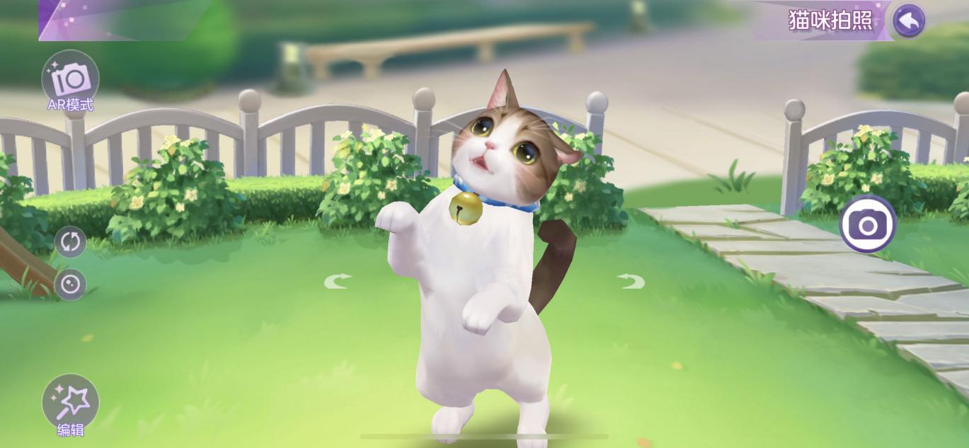 云养猫真的有便利吗,真养猫和云养猫的区别