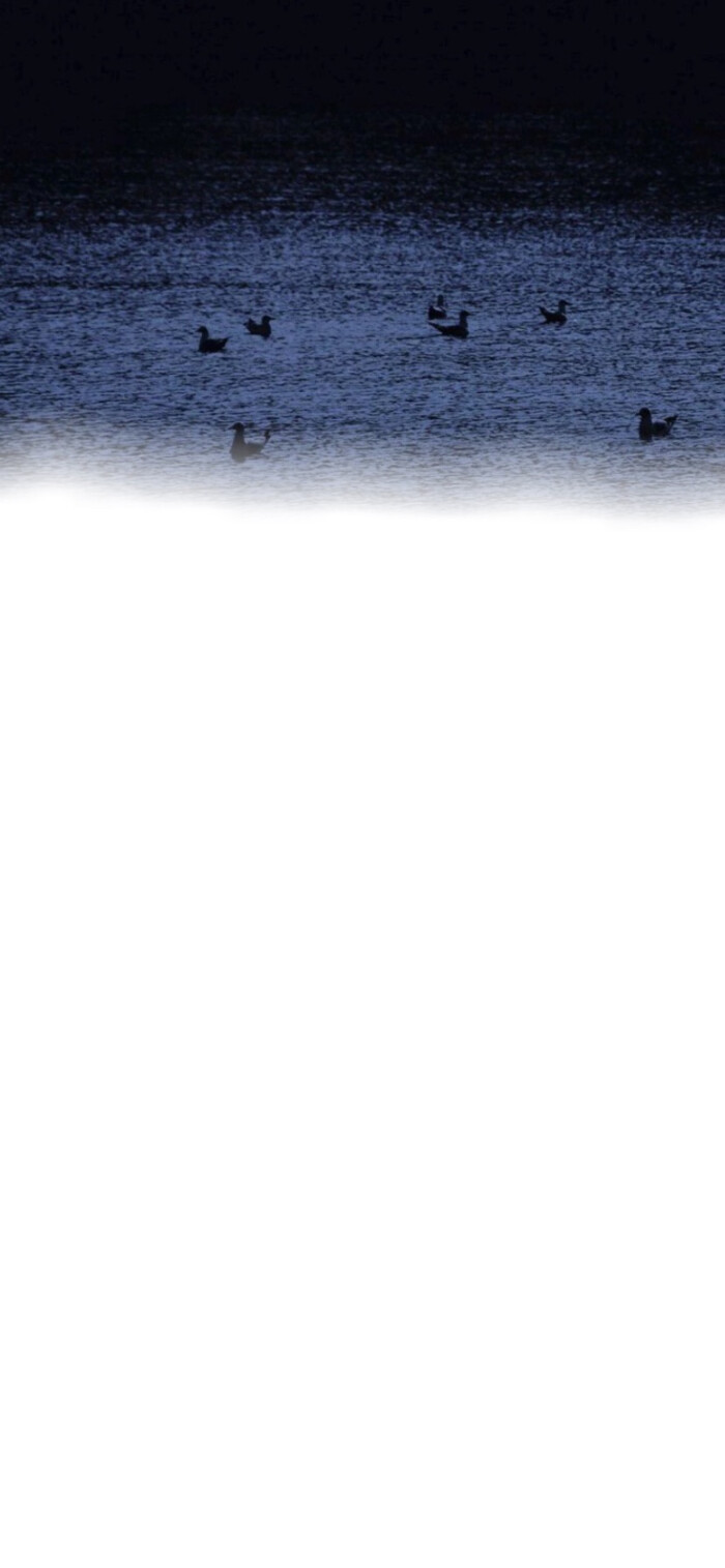 渐变渲染背景图,渐变背景图红黑