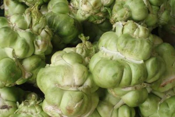 乌江榨菜厂家利润,代理榨菜利润有多少