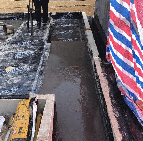 忘不了的家丨绿城房屋4S携手本间贵史，守护阿尔茨海默症家庭