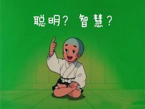 小聪明与大智慧书,小聪明与大智慧名人佳句