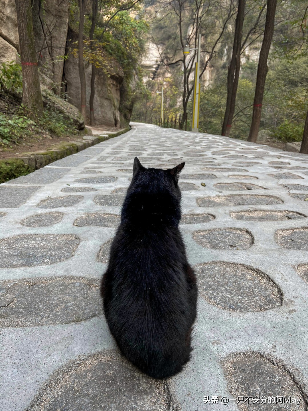 为什么爬华山都是夜爬,华山自古一条道很有必要爬吗