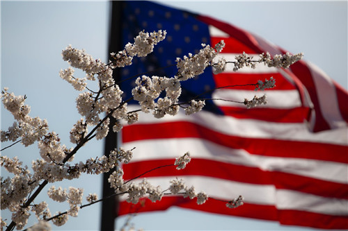 如此专业也深受留学生青睐？留学美国奇葩专业收集！优弗教育解读