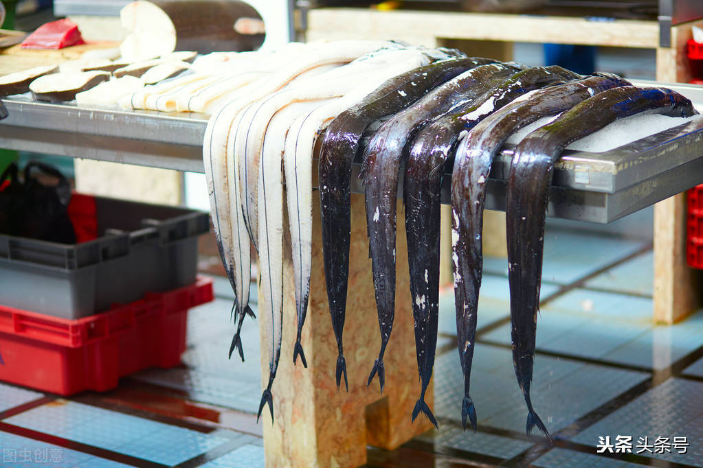 司机被迫吃生带鱼考验我们有关方面怎样把好事情办好