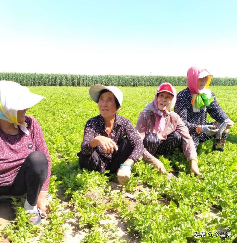 达拉特故事,达拉特旗历史故事