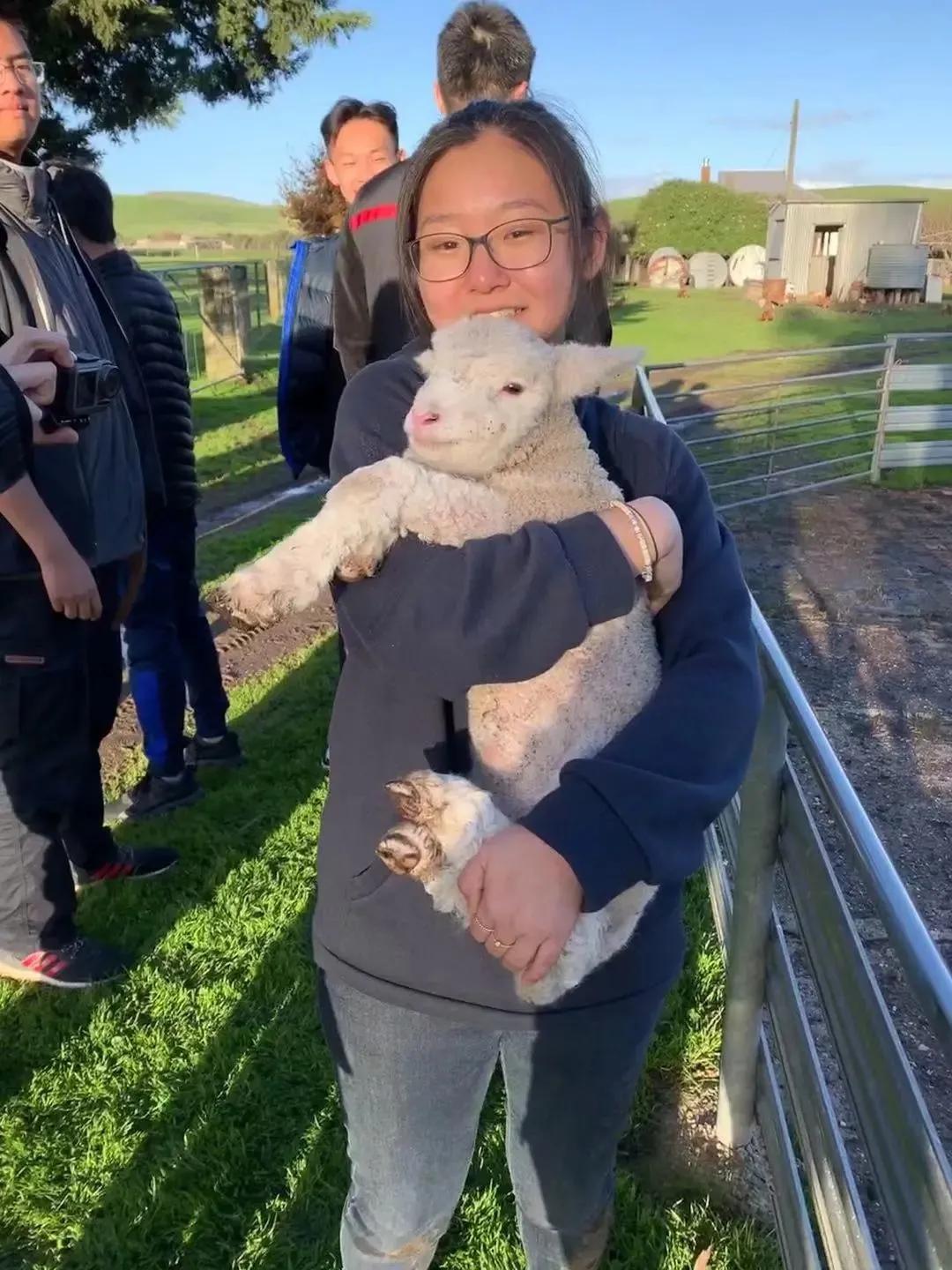 4位鼎石女生的科学梦