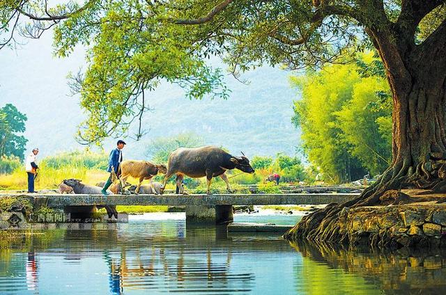 离婚带孩子欠几十万负债走投无路,欠债30万带着儿子离婚