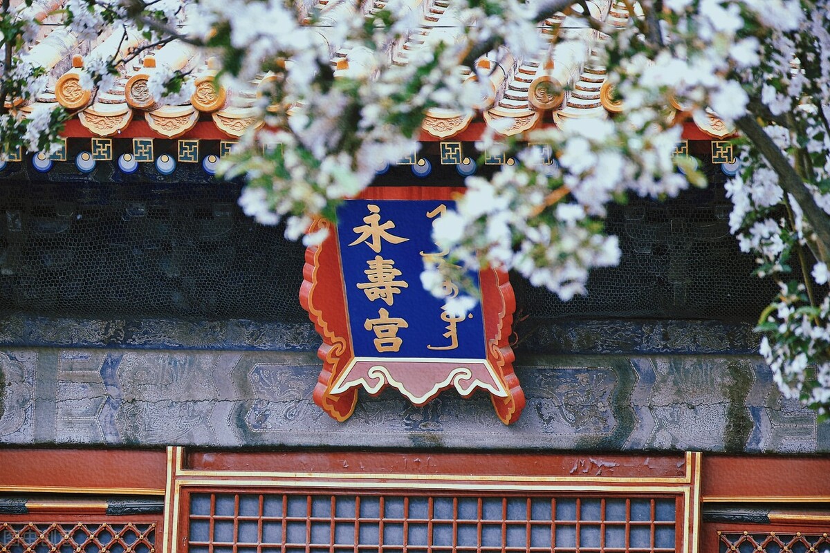 庄顺皇贵妃与慈禧,道光帝庄顺皇贵妃