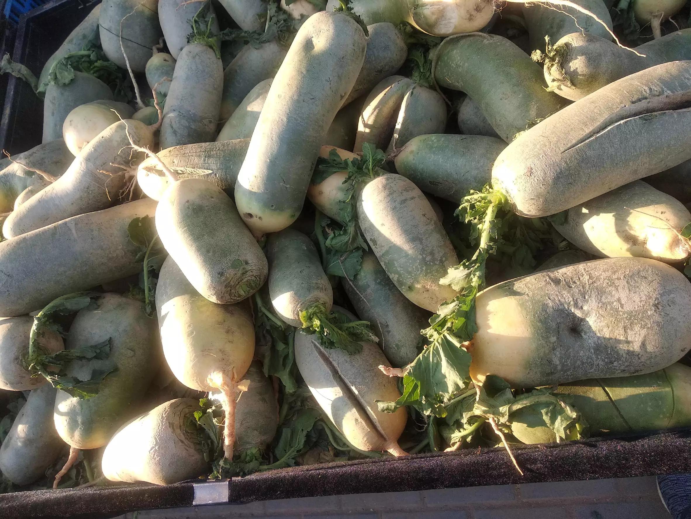 家有余粮心不慌正能量,家有余粮心不慌抖音